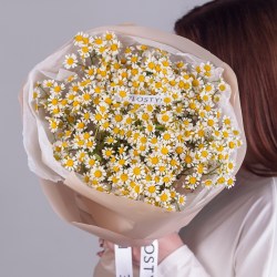 buket polevyh romashek 310